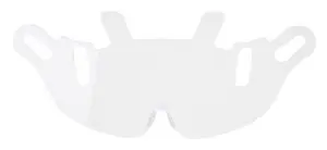 Endurance Visor Replacement